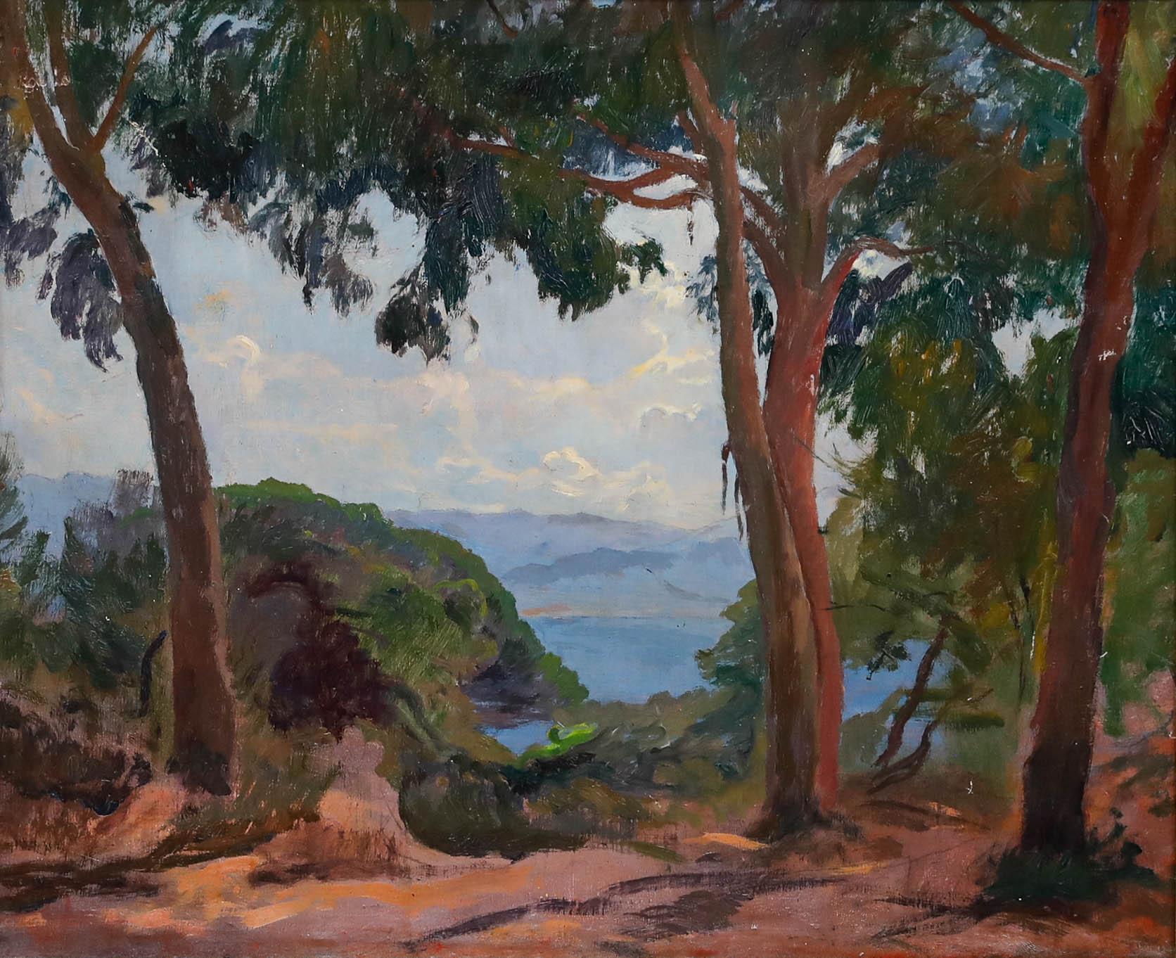 Olio del XX secolo - La baia tra gli alberi - Painting di Unknown