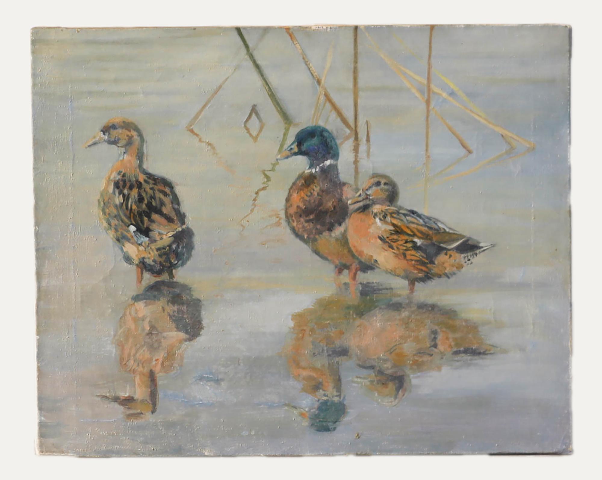Ölgemälde des 20. Jahrhunderts – Mallard Ducks Wading – Painting von Unknown