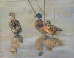 Óleo del siglo XX - Patos azulones vadeando