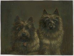 20th Century Oil - Two Scruffy Terriers
