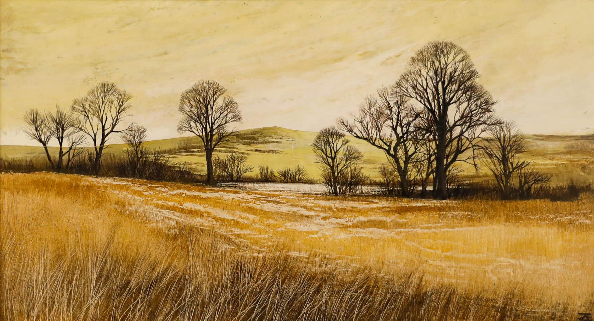 Olio del XX secolo - Montagne gallesi all'inizio dell'inverno - Painting di Unknown