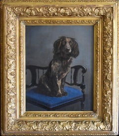 Una mejora de la cesta (springer spaniel)