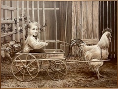 Un ragazzo e il suo gallo