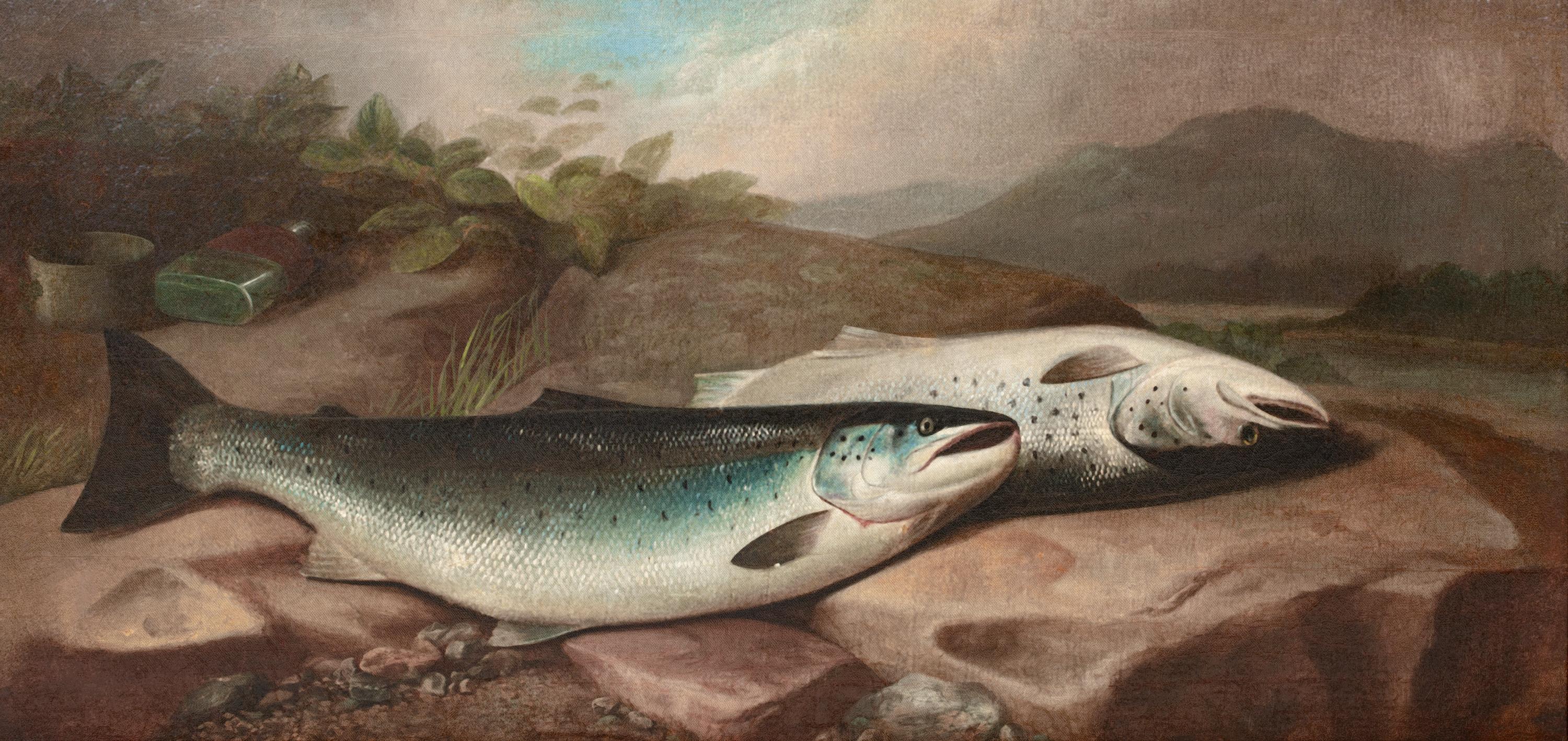 Un bracelet de saumon par Rover Spey, Écosse 19ème siècle John Bucknell RUSSELL - Marron Animal Painting par Unknown