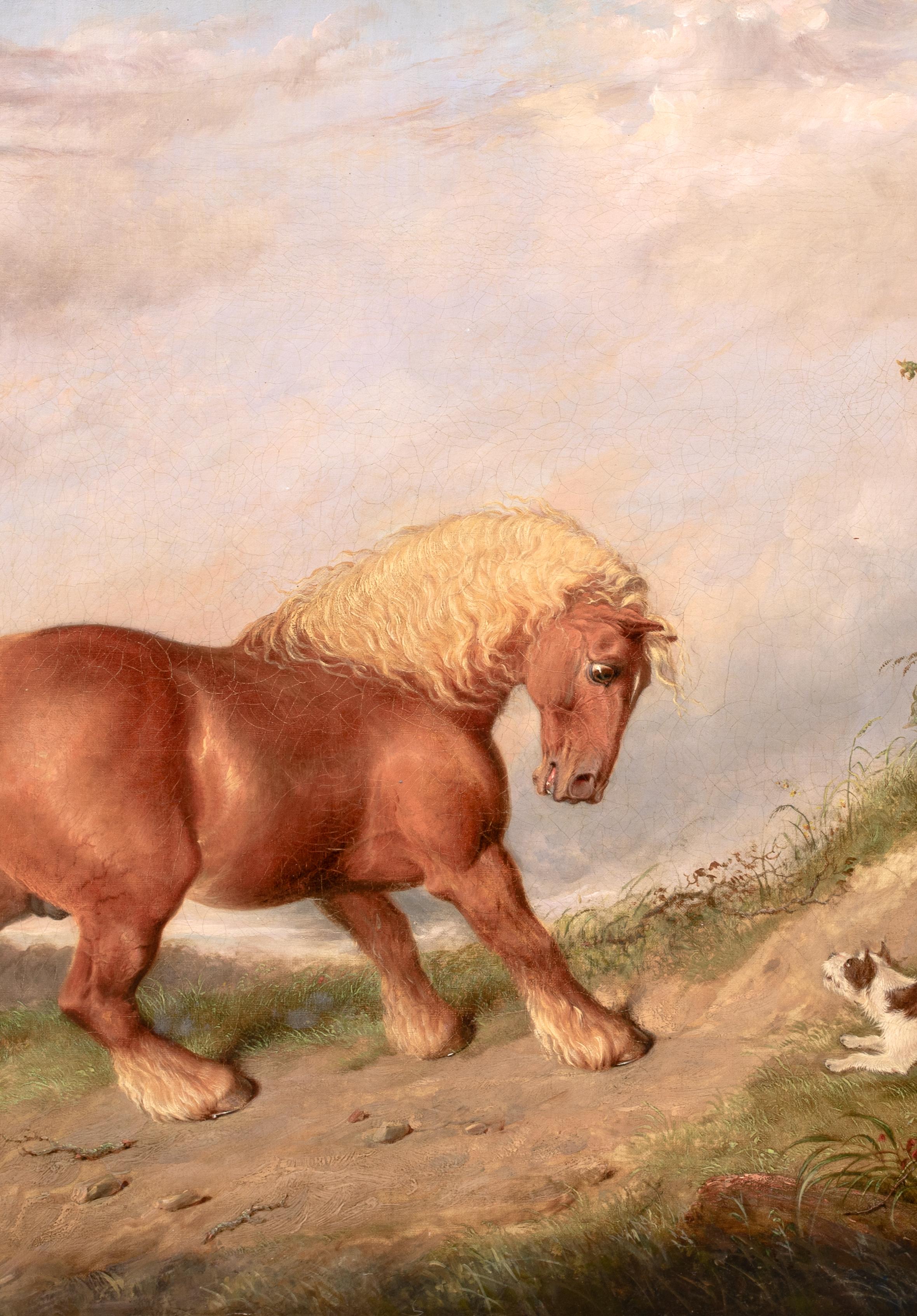 A Curios Encounter, Shire Horse & Terrier, circa 1800  circle Of George STUBBS For Sale 2