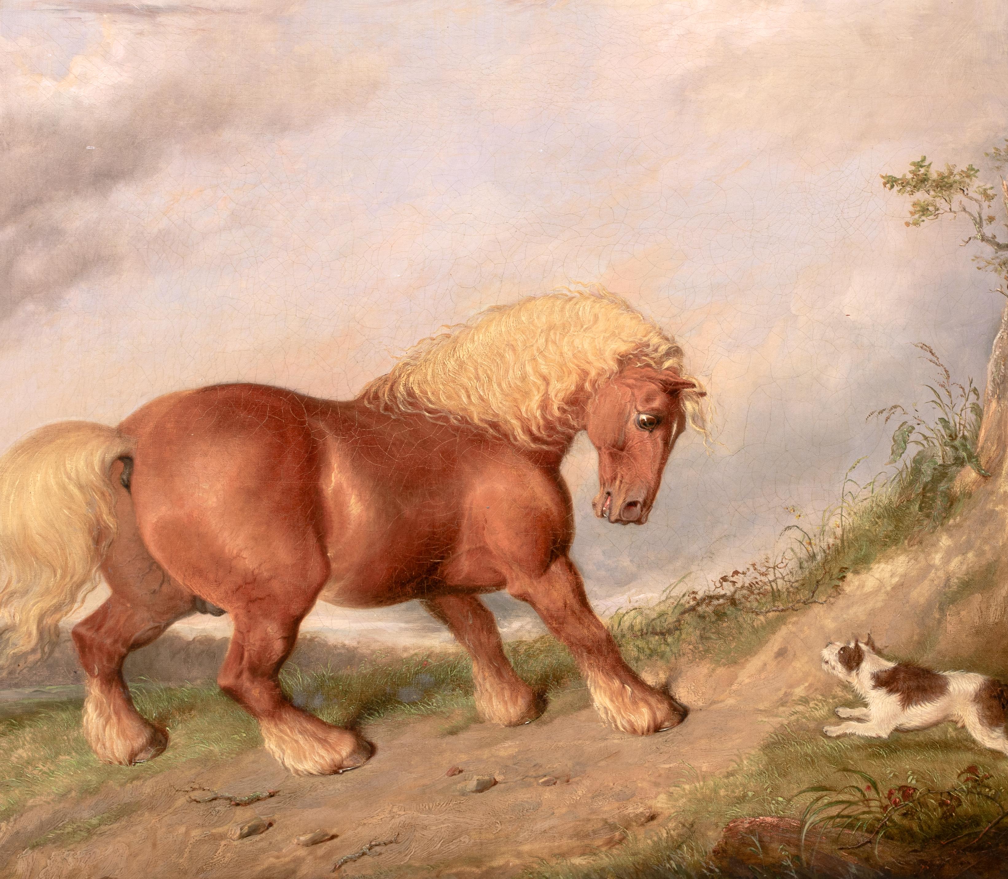 A Curios Encounter, Shire Horse & Terrier, circa 1800  circle Of George STUBBS For Sale 4