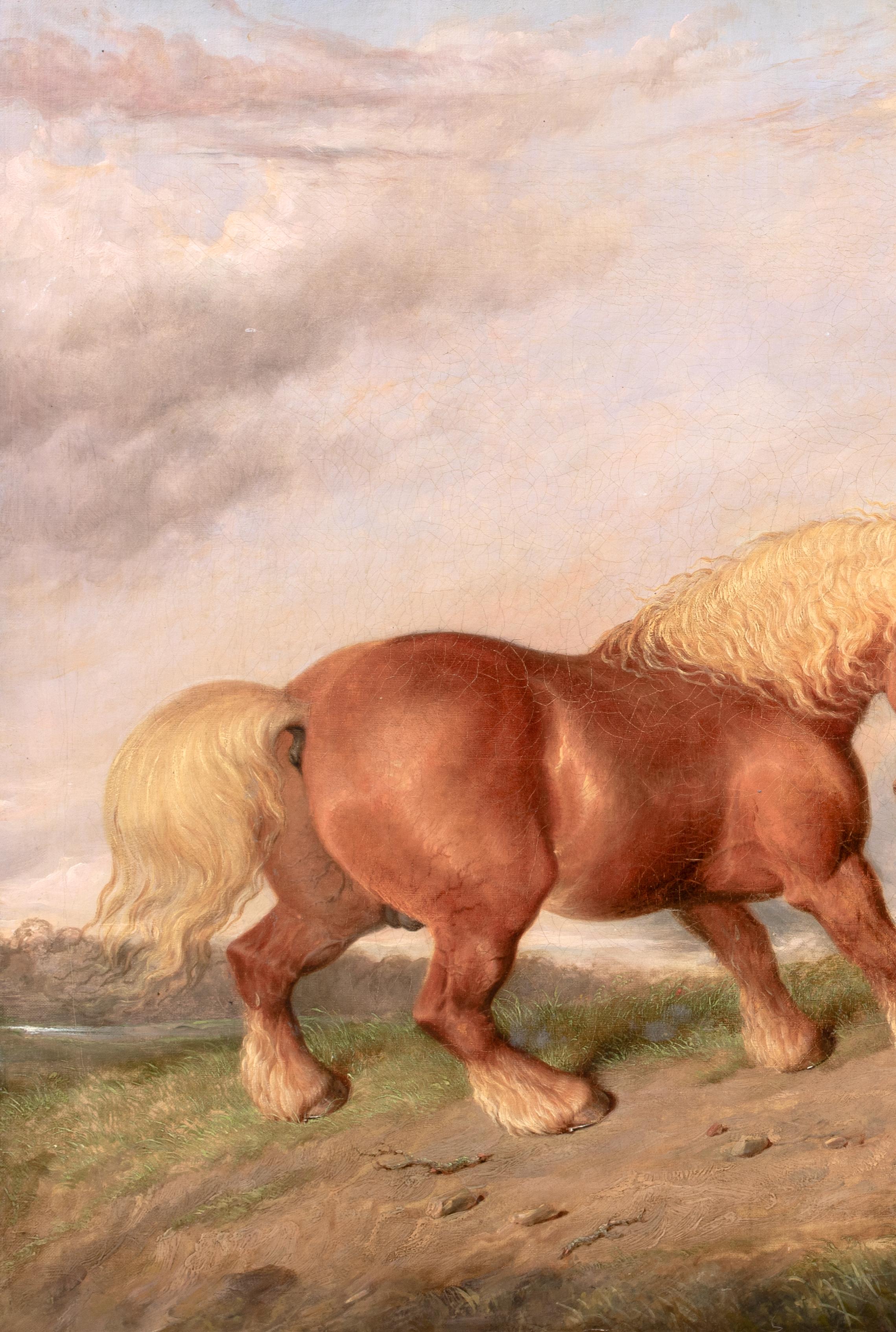 A Curios Encounter, Shire Horse & Terrier, circa 1800  circle Of George STUBBS For Sale 5