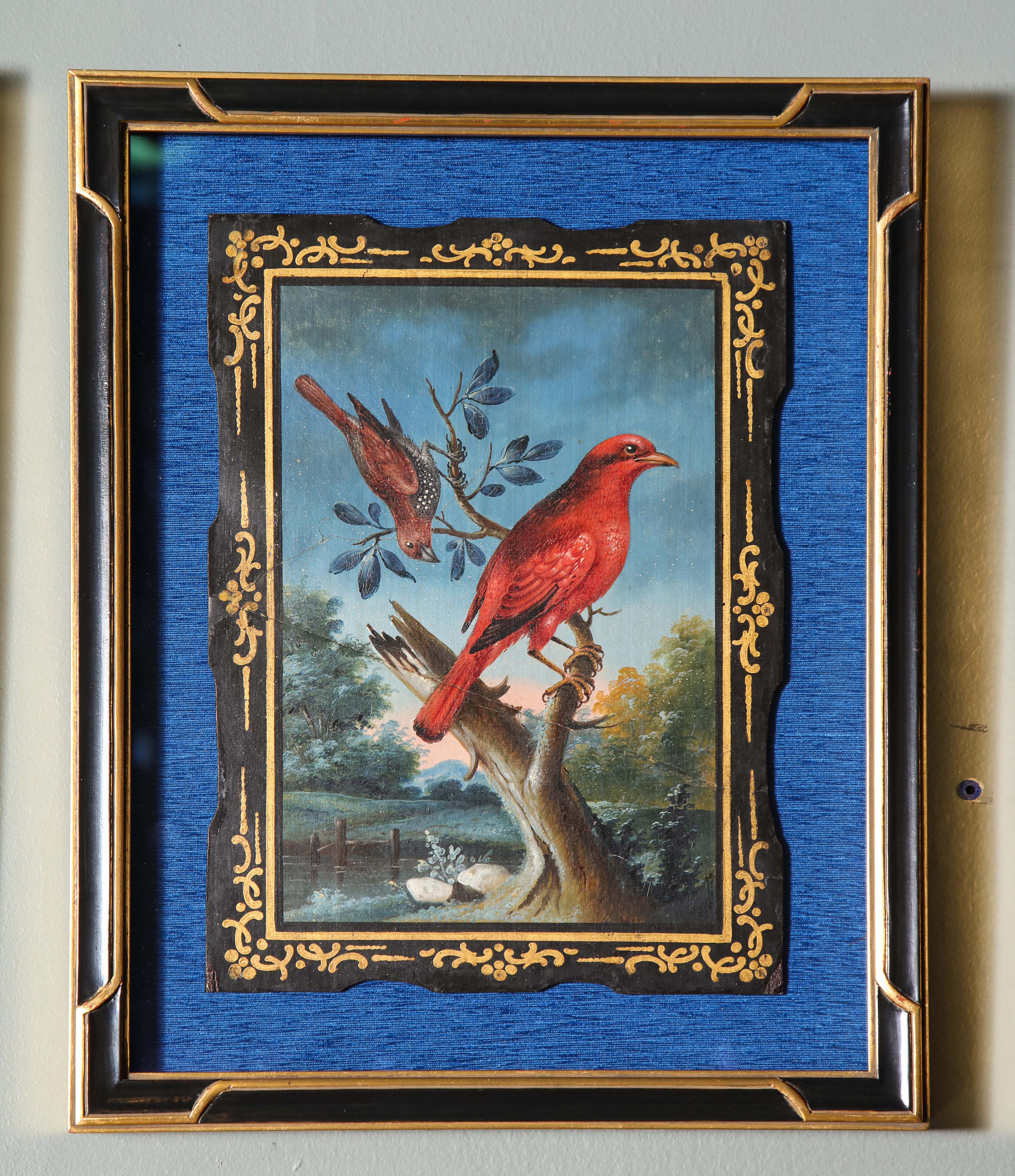 A Rare and Important Set of 28 Paintings Depicting Assorted Bird Species 9