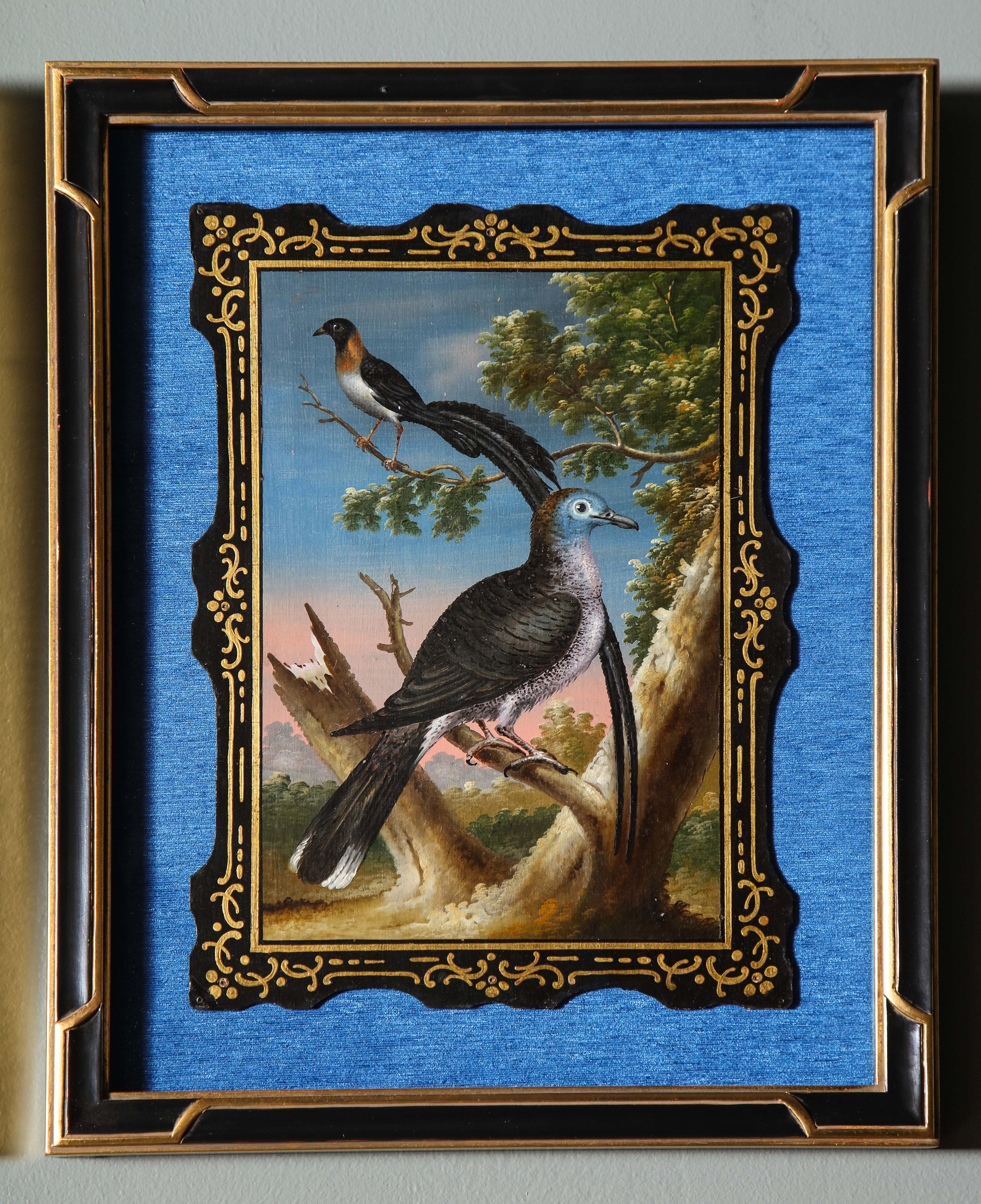 A Rare and Important Set of 28 Paintings Depicting Assorted Bird Species 10