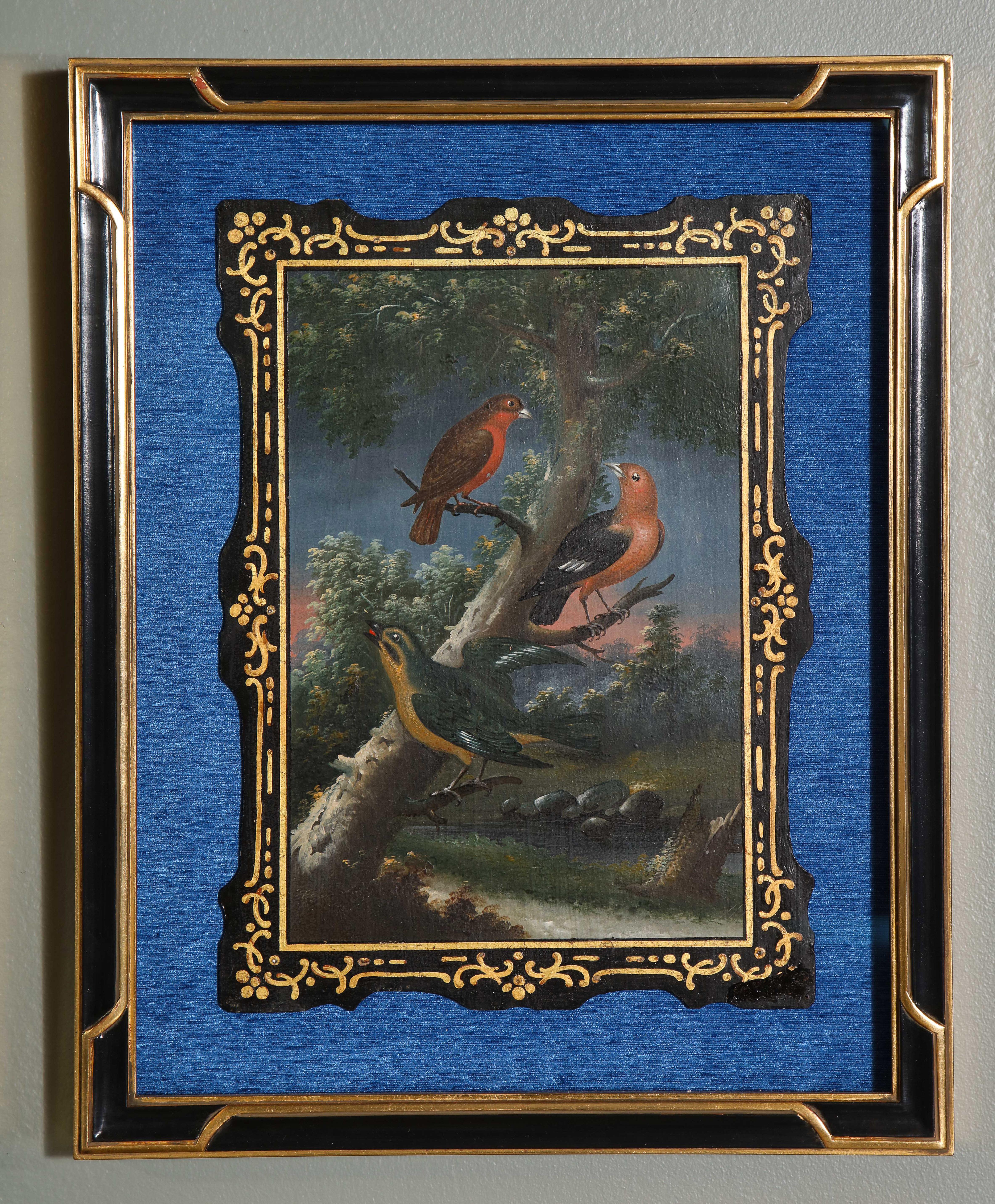 A Rare and Important Set of 28 Paintings Depicting Assorted Bird Species 2
