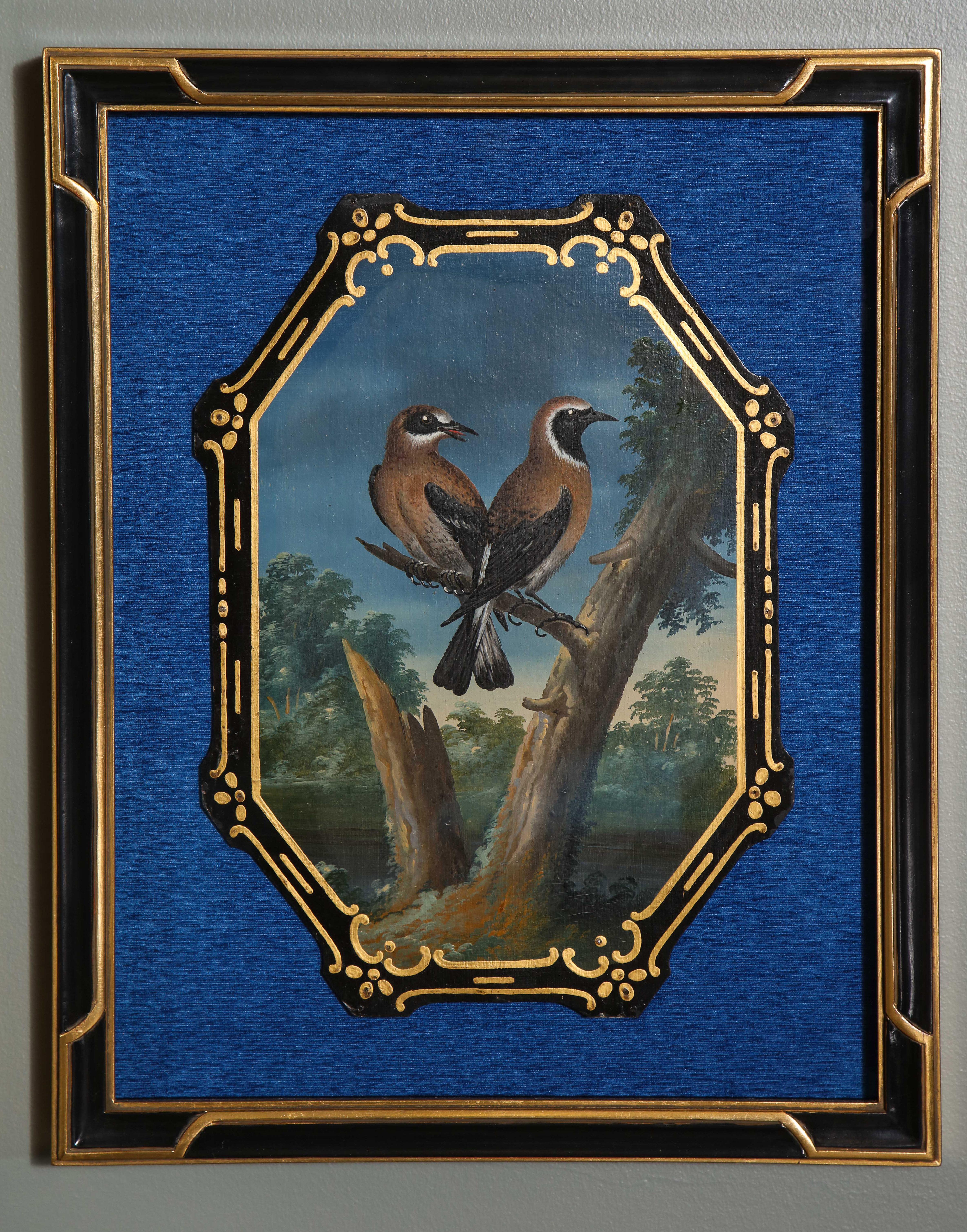 A Rare and Important Set of 28 Paintings Depicting Assorted Bird Species 3