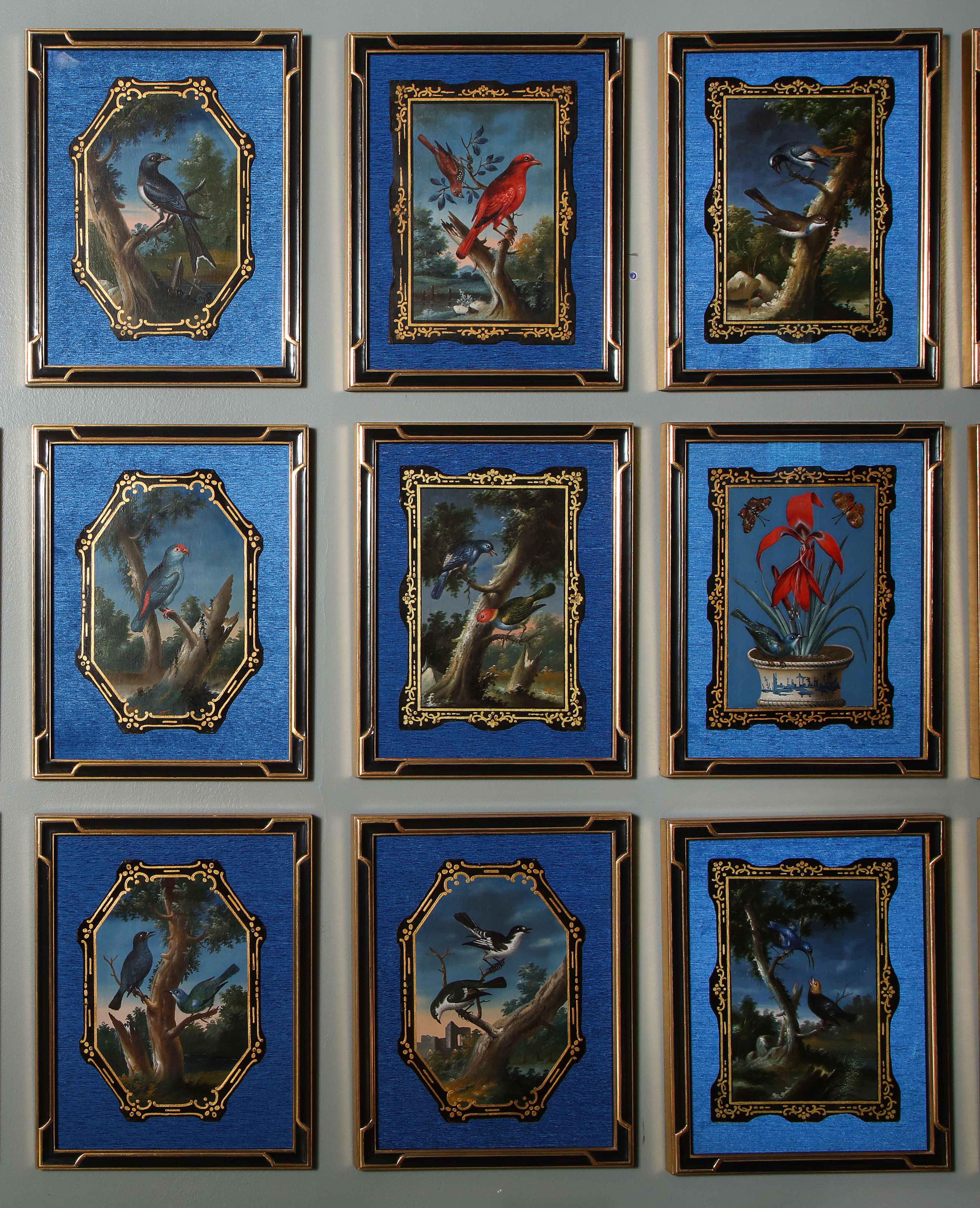 A Rare and Important Set of 28 Paintings Depicting Assorted Bird Species 4