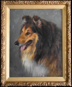 Un collie áspero