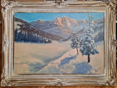A Scenic Snowy Winterscape