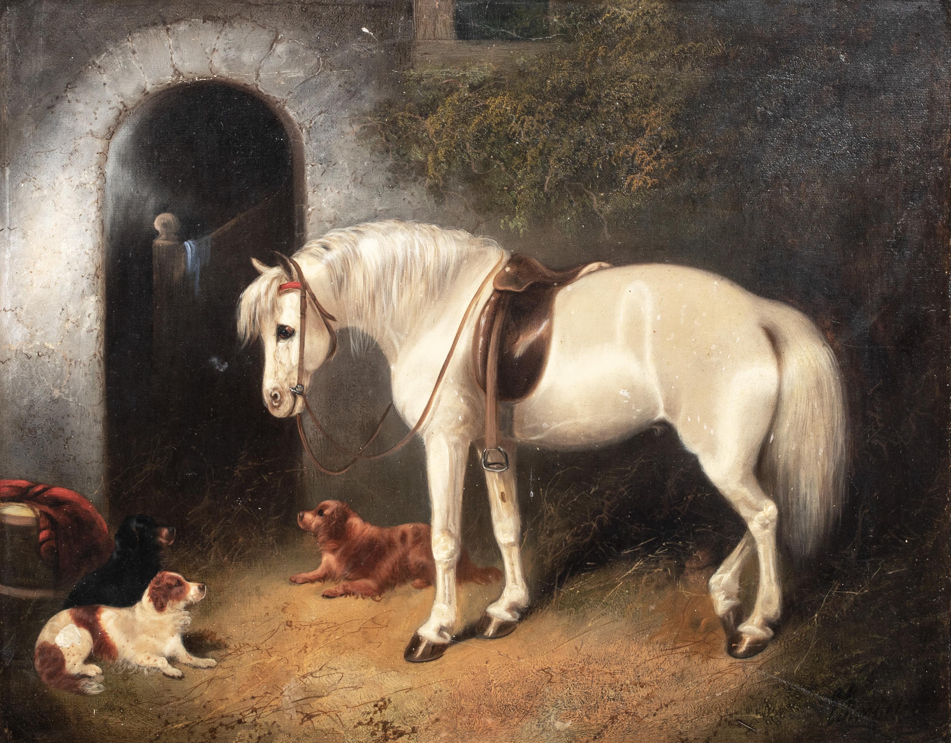 Un caballo blanco acompañado de Spaniels, Siglo XIX - Portrait Painting Marrón de Unknown
