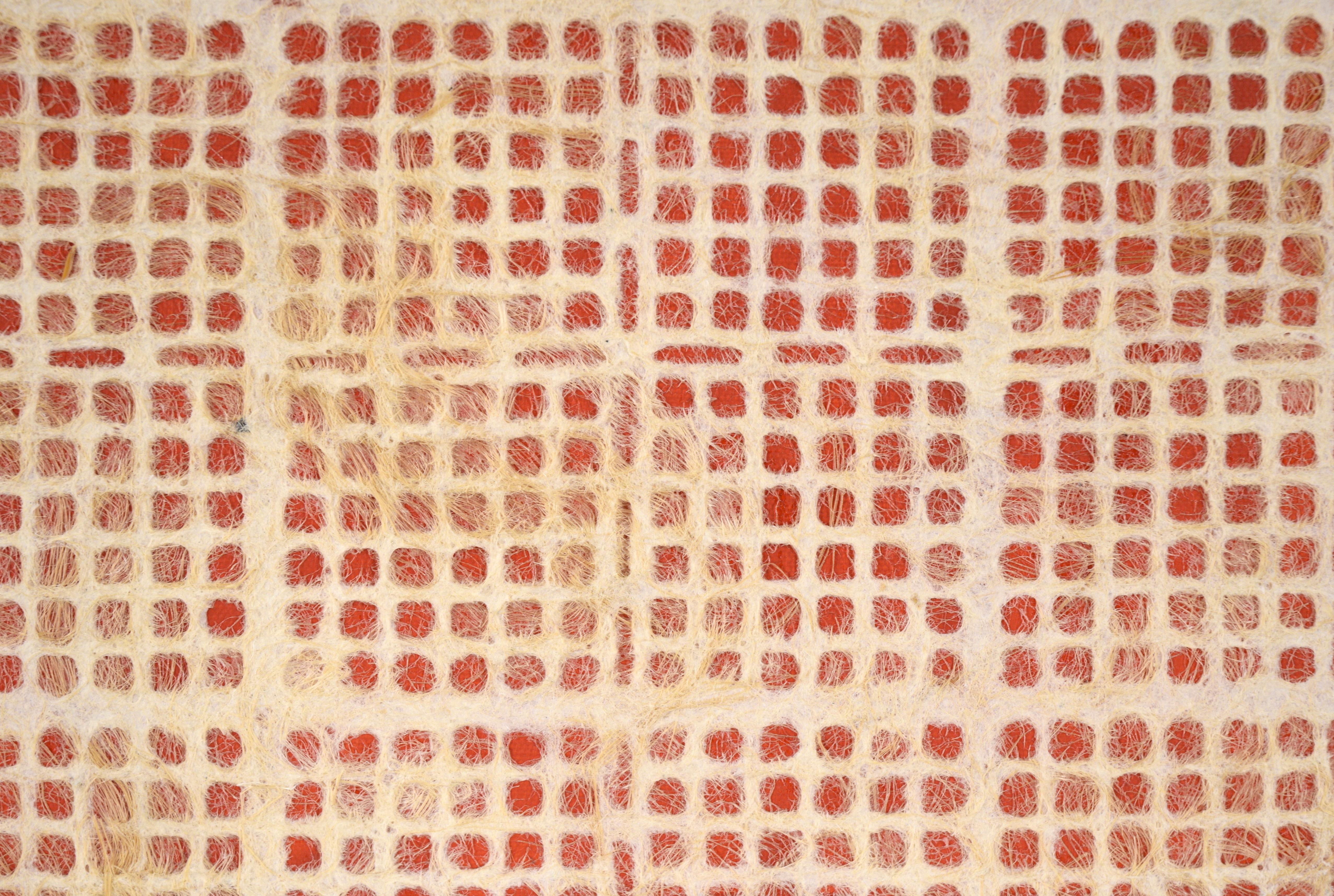 Abstract Geometric Composition with Handmade Paper, Fibers and Acrylic on Canvas (Red)

Whimsical abstract composition by an unknown artist (20th Century). Red acrylic paint makes up the background of this composition. Atop that, there is a layer of