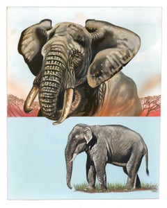 African & Indian Elephant Painting