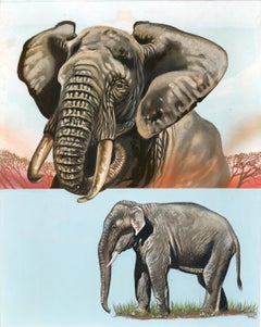 African & Indian Elephant Painting