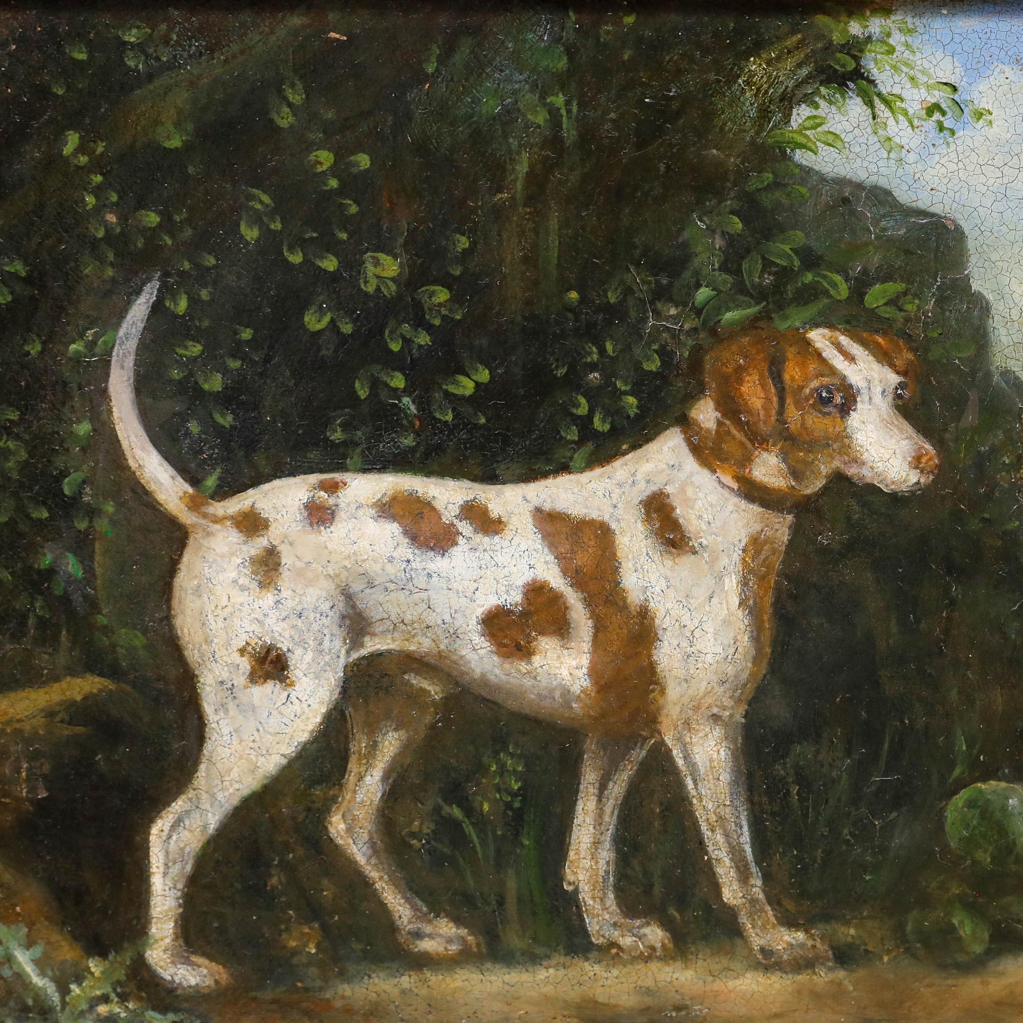 Uno studio ottocentesco di un cane su uno sfondo naturale. Monogram 