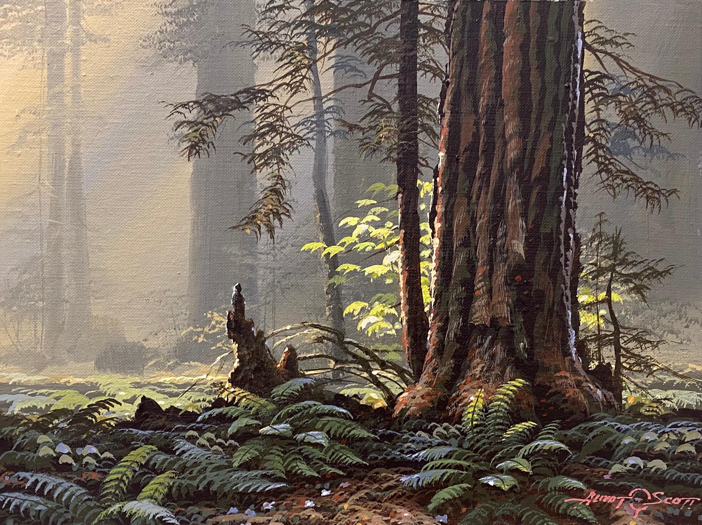 Unknown Landscape Painting - Al Scott "Redwood and Ferns" Original Painting C.1970