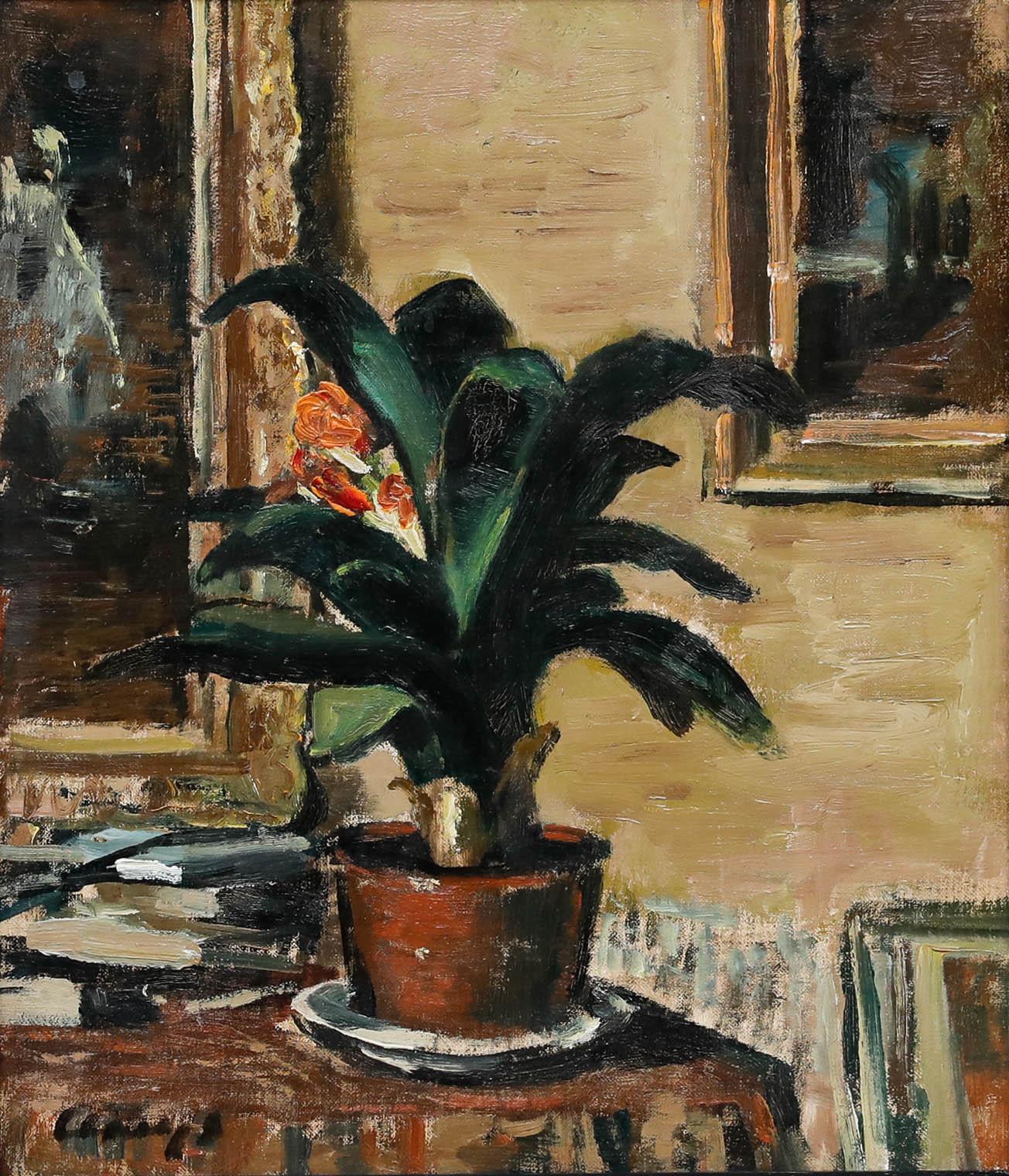 Albert Claeys (1889-1967) - Early 20th Century Oil, Still Life with Clivia - Painting by Unknown