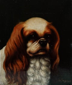 Albert Haug - 1908 Oil, Cavalier King Charles Spaniel