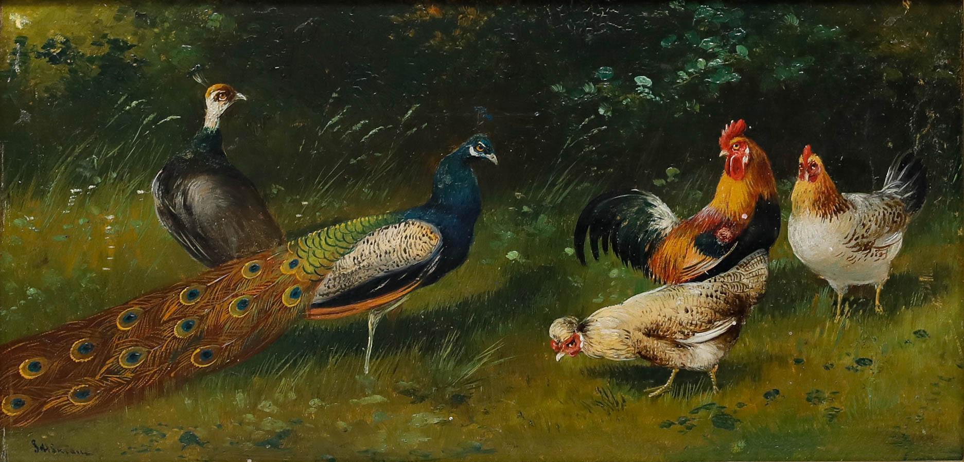 Alfred Schönian (1856-1936) - Fin du XIXe siècle Huile, Paons et poules - Painting de Unknown