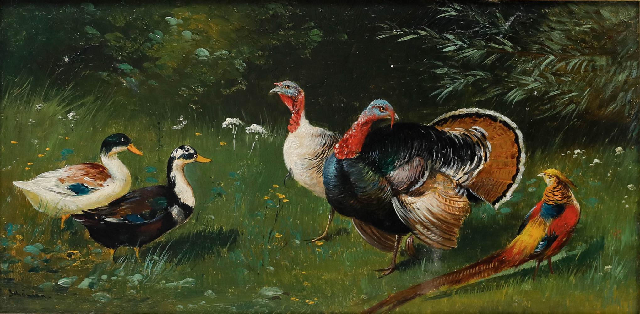 Alfred Schönian (1856-1936) - Öl, Goldfasan inmitten von Enten und Truthähnen – Painting von Unknown