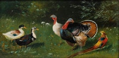 Alfred Schönian (1856-1936) - Oil, Golden Pheasant Amongst Ducks and Turkeys