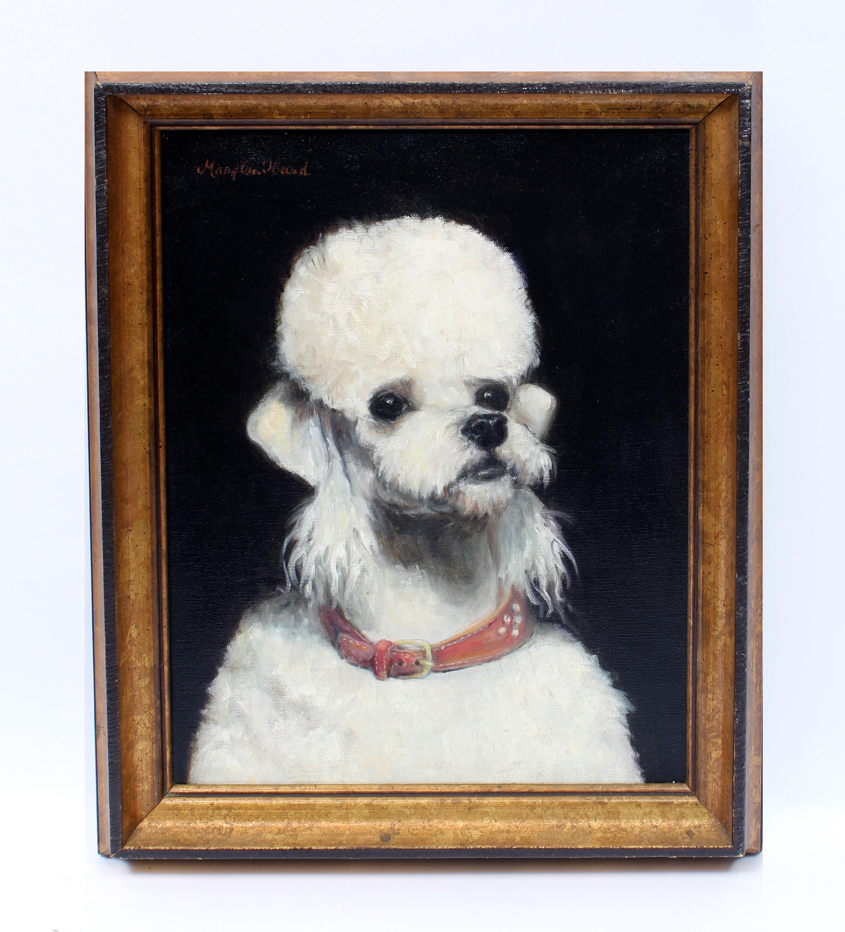 Unknown Animal Painting - American Oil Painting Realist White Poodle Dog Framed 1940's Female Artist NYC