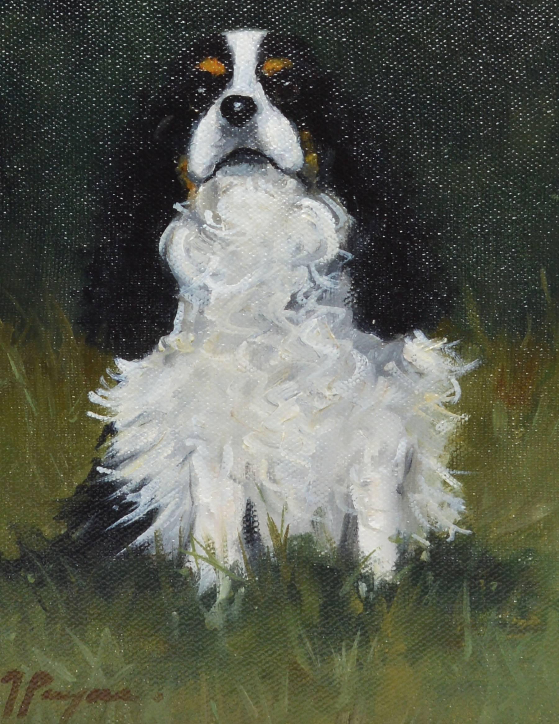 Impressionist portrait of a King Charles Cavalier Spaniel Dog.  Oil on board, circa 1970.  Signed illegibly.  Displayed in a giltwood frame.  Image size, 7
