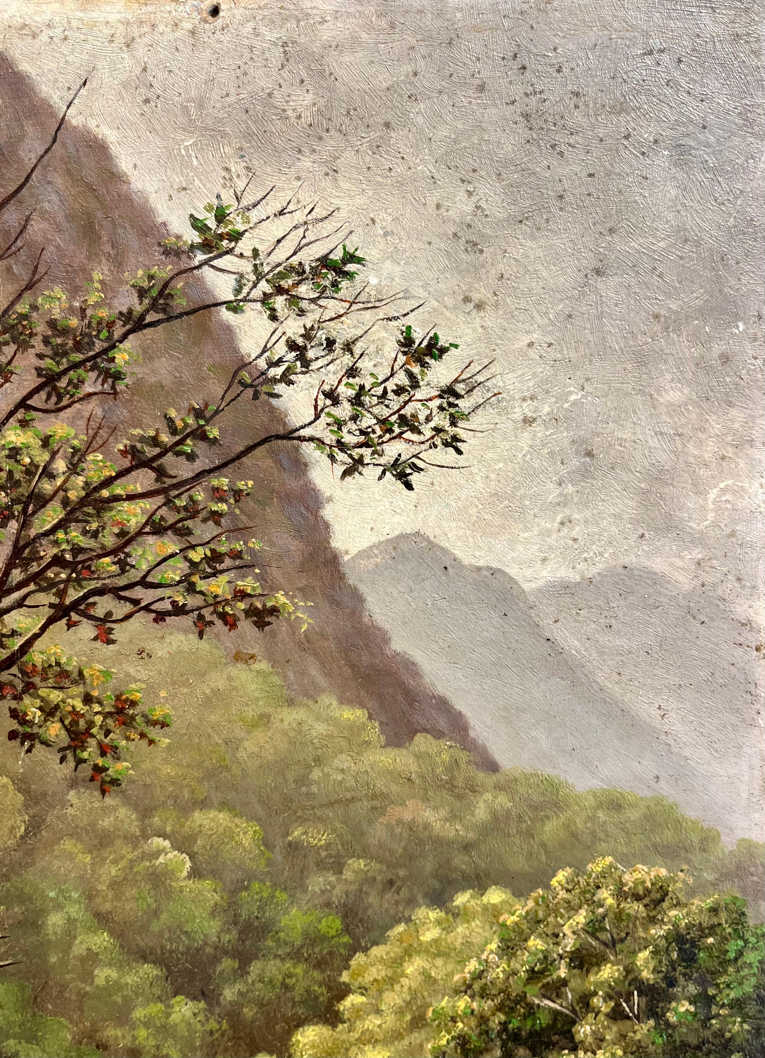 Escuela Americana Montañosa Corriente Rocosa - Painting Escuela del río Hudson de Unknown
