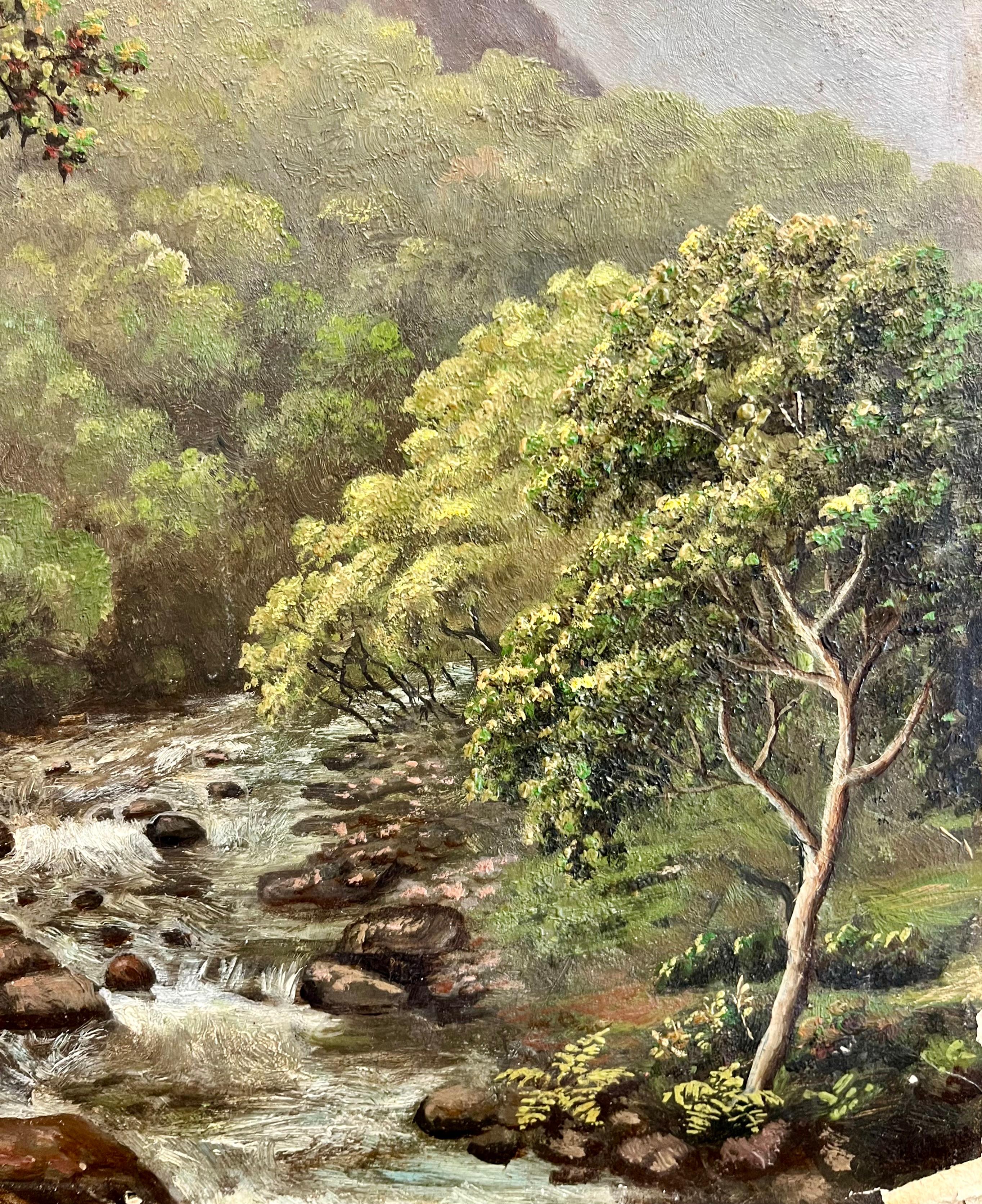 Escuela Americana Montañosa Corriente Rocosa - Landscape Painting Marrón de Unknown
