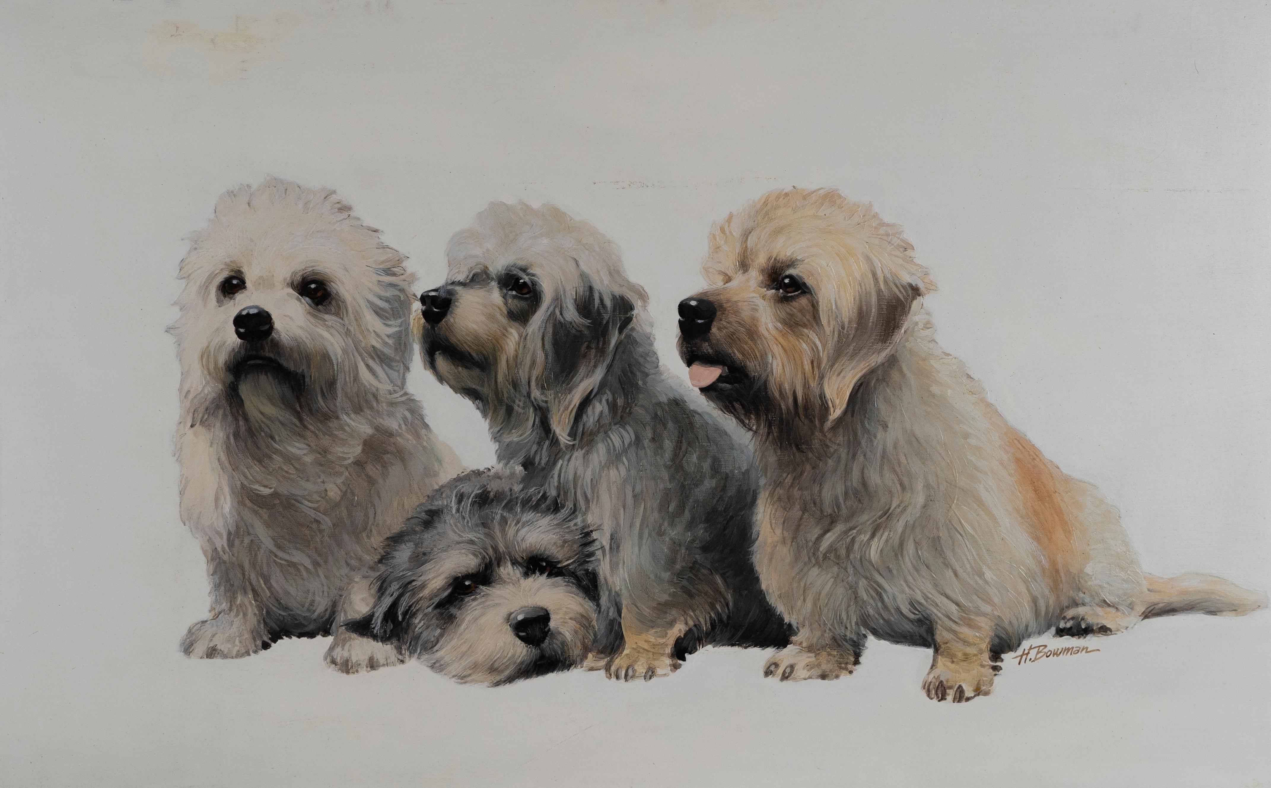 Portraits de chiens terriers signés de l'école américaine, peinture à l'huile réaliste originale - Gris Abstract Painting par Unknown