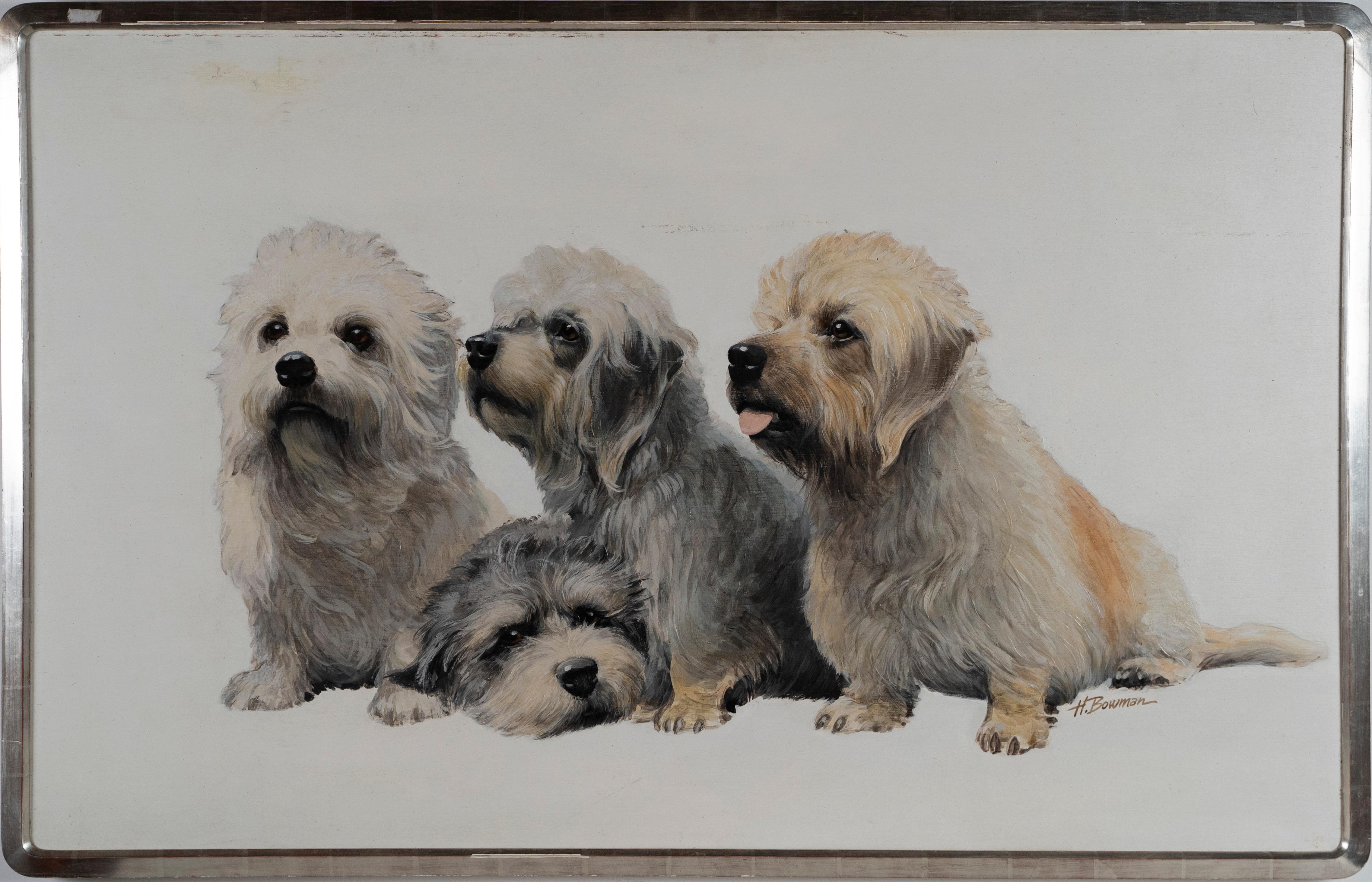 Abstract Painting Unknown - Portraits de chiens terriers signés de l'école américaine, peinture à l'huile réaliste originale