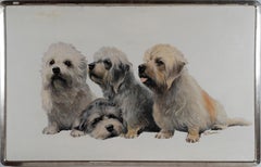 Vintage American School Signed Terrier Dog Portraits Original Realist Oil Painting