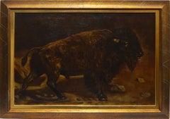 Antique American School Western Native American Buffalo Study Oil Painting