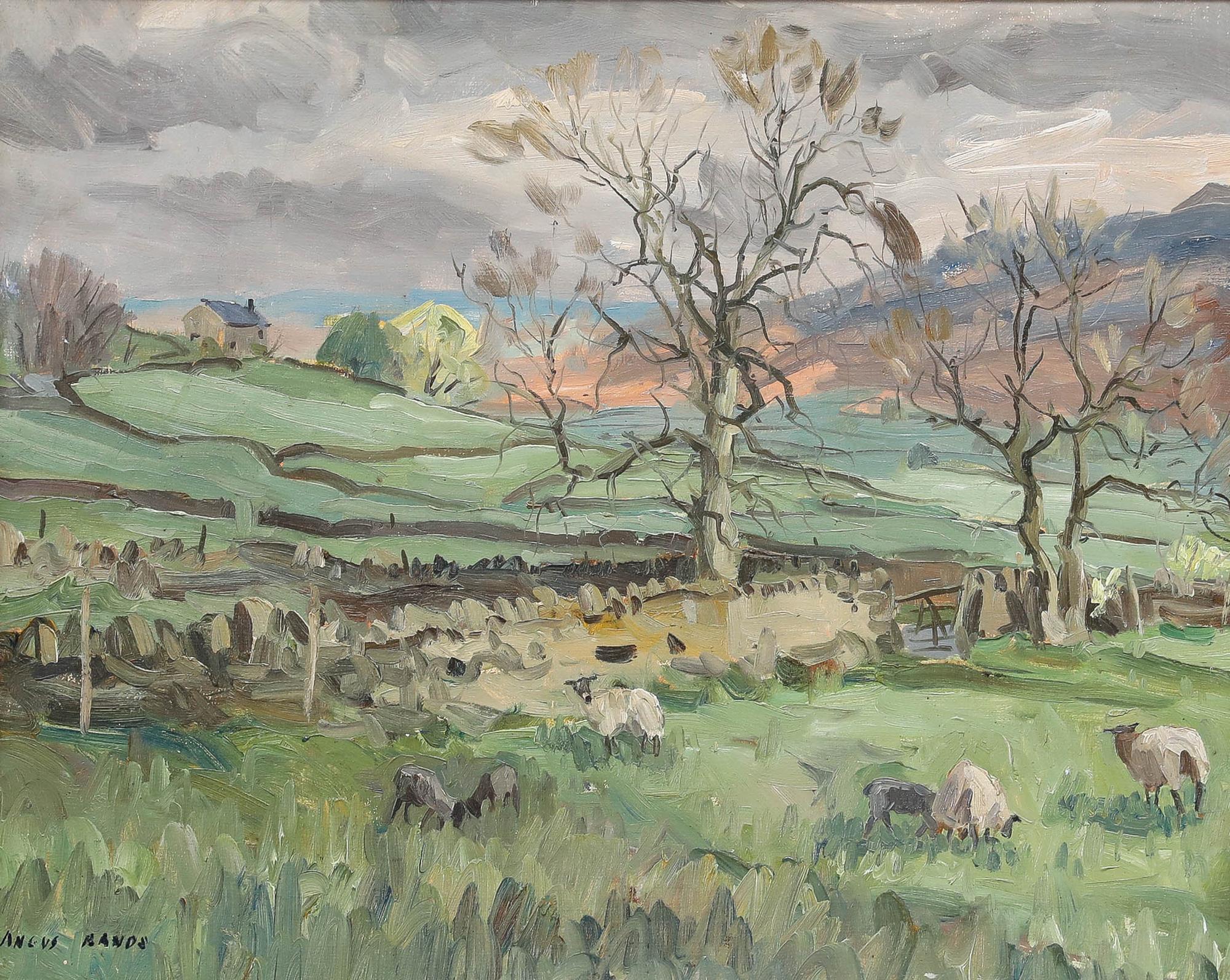Angus Bernard Rands (1922-1985) - Framed 20th Century Oil, Dales Sheep Grazing - Painting by Unknown