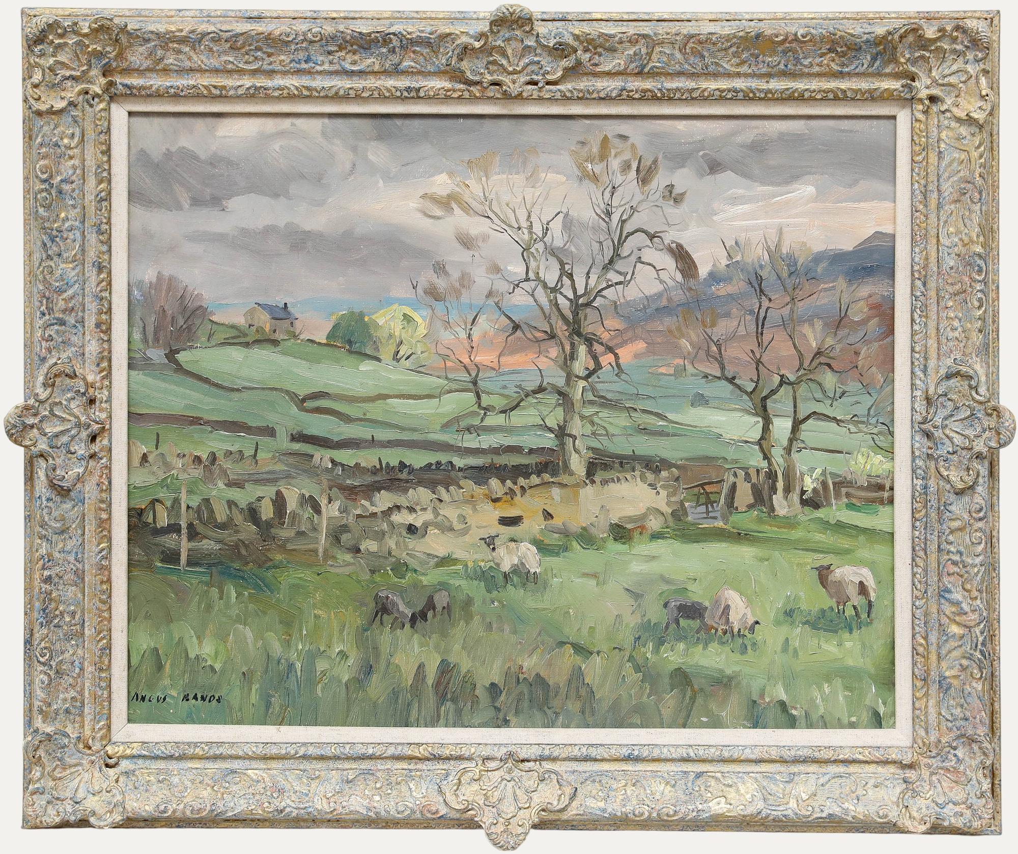 Unknown Landscape Painting - Angus Bernard Rands (1922-1985) - Framed 20th Century Oil, Dales Sheep Grazing