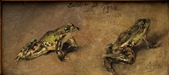 Pittura animale di rane del 1894 di Gabriel Cazals (Francia, XIX-XX secolo)