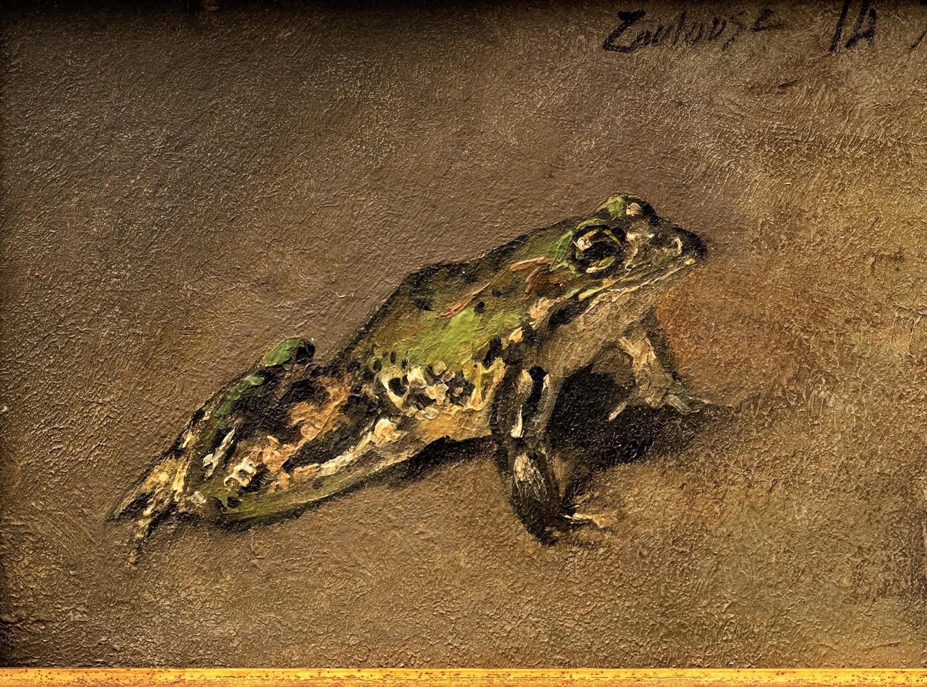 frogs france