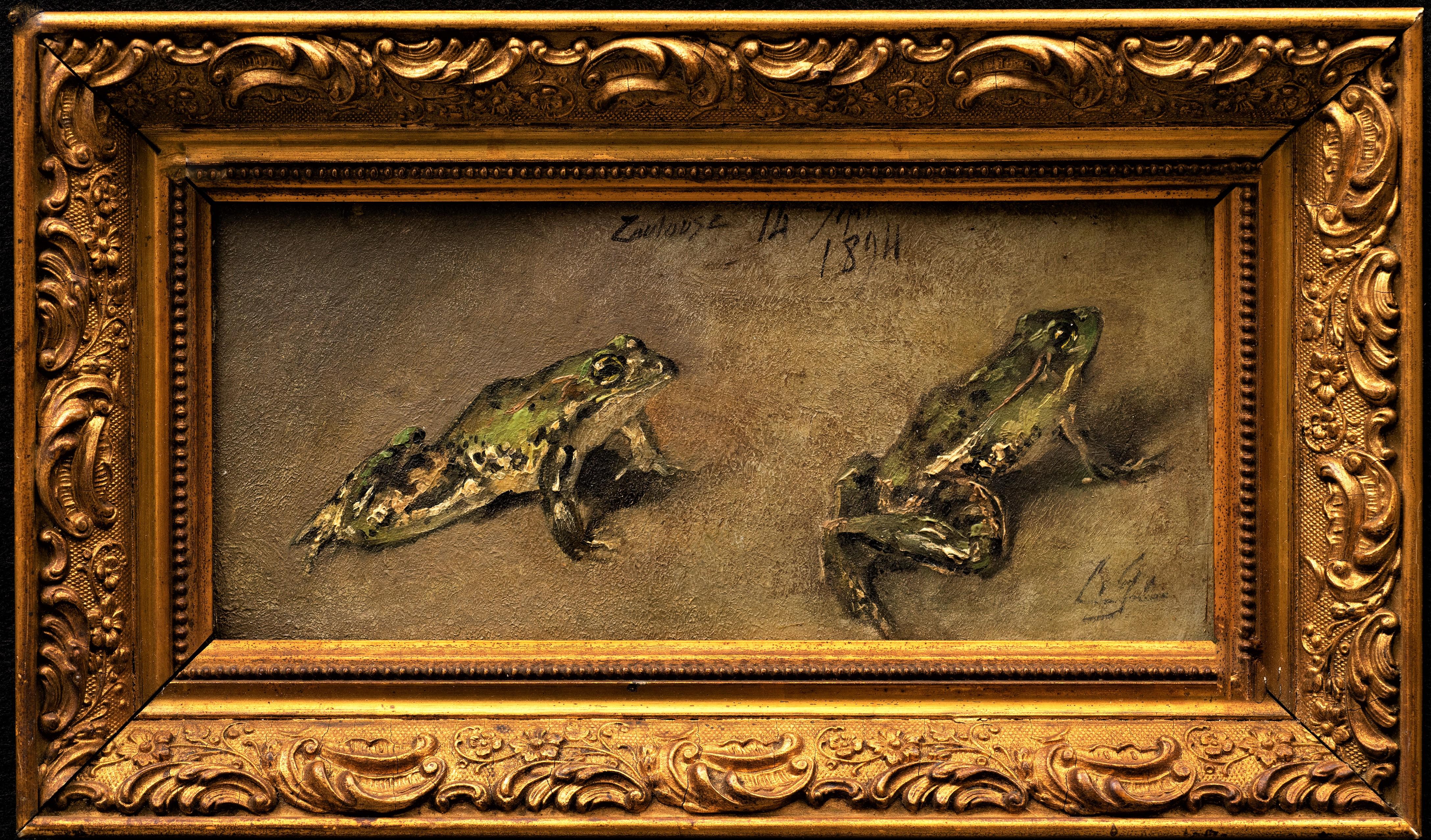 paintings of frogs