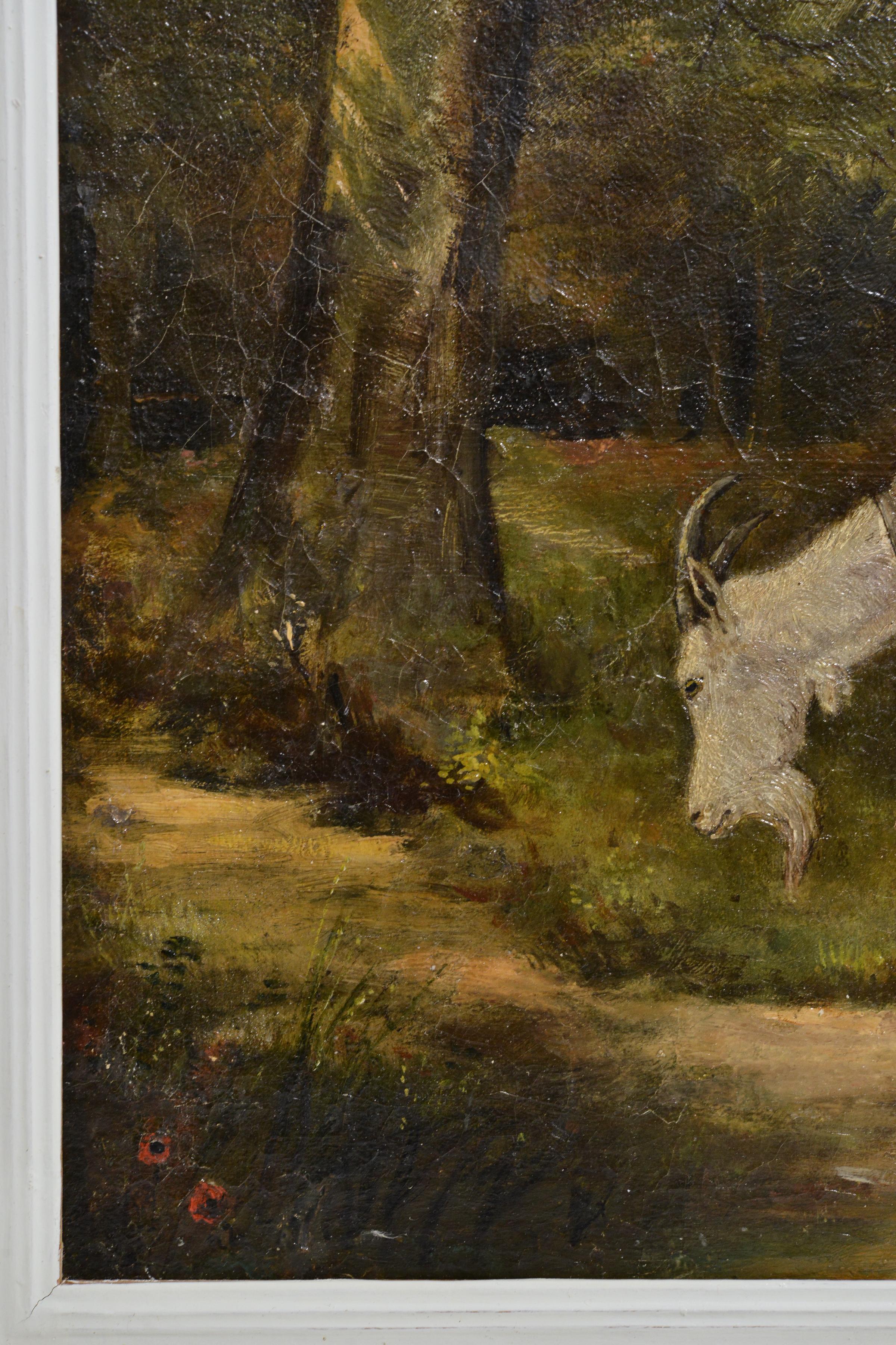 Animal Scene Goat with Kid in Forest 19th Century Oil Painting Unsigned Framed For Sale 1