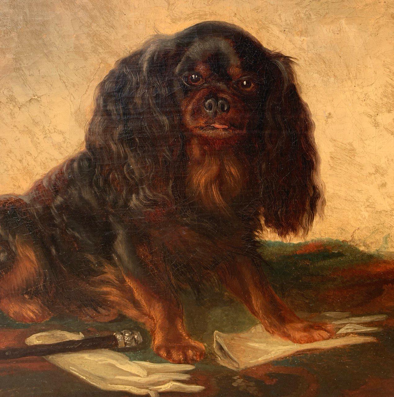 Pittore inglese (XIX secolo) - Cane Charles Cavalier Spaniel.

50 x 65 cm senza cornice, 61 x 77 cm con cornice.

Antico dipinto a olio su tela, in una cornice di legno dorato.

Rapporto sulle condizioni: Tela originale. Buono stato di conservazione