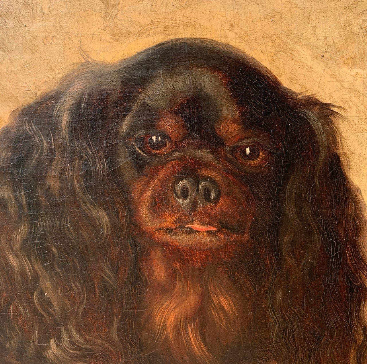 Animalier pittore britannico - Dipinti di cani del XIX secolo - Charles Cavalier Spaniel in vendita 4