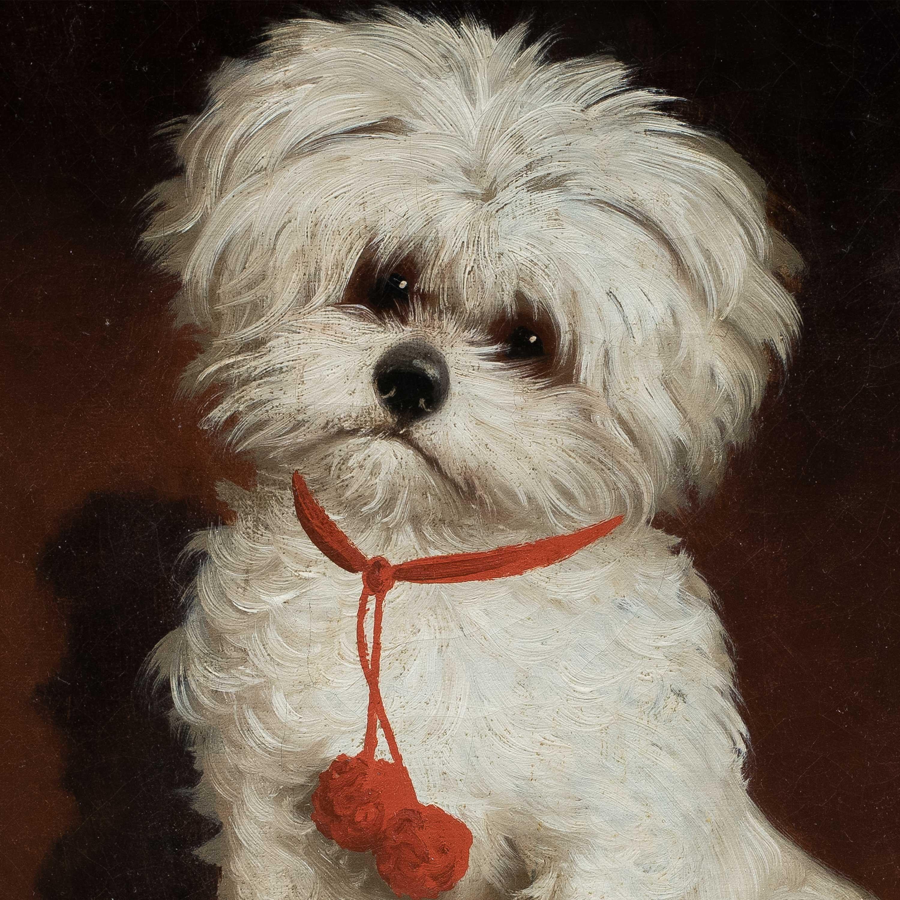 Animalier Italienischer Maler - 19. Jahrhundert Porträt eines Malteserhundes – Painting von Unknown