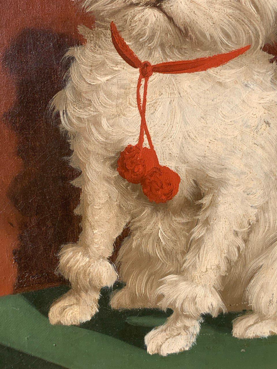 Animalier Italienischer Maler - 19. Jahrhundert Porträt eines Malteserhundes im Angebot 1