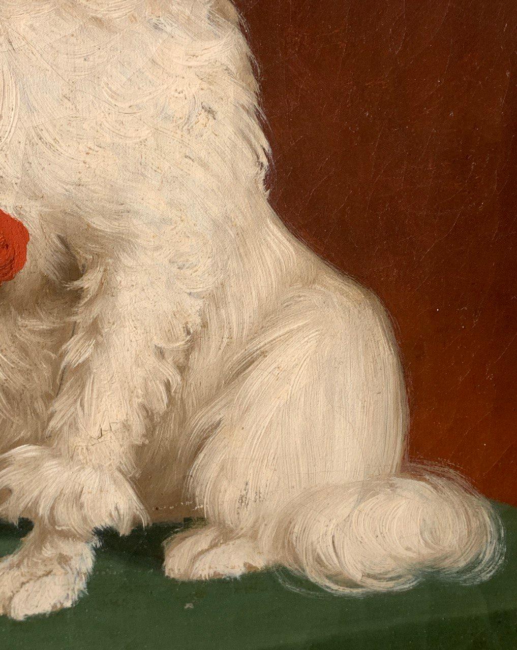 Animalier Italienischer Maler - 19. Jahrhundert Porträt eines Malteserhundes im Angebot 2