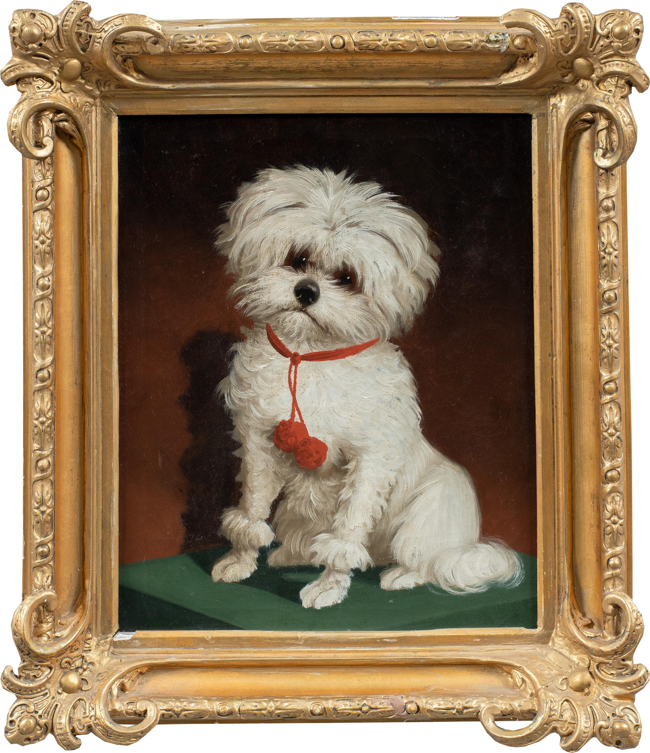 Animalier Italian painter - 19th century Portrait of a Maltese dog