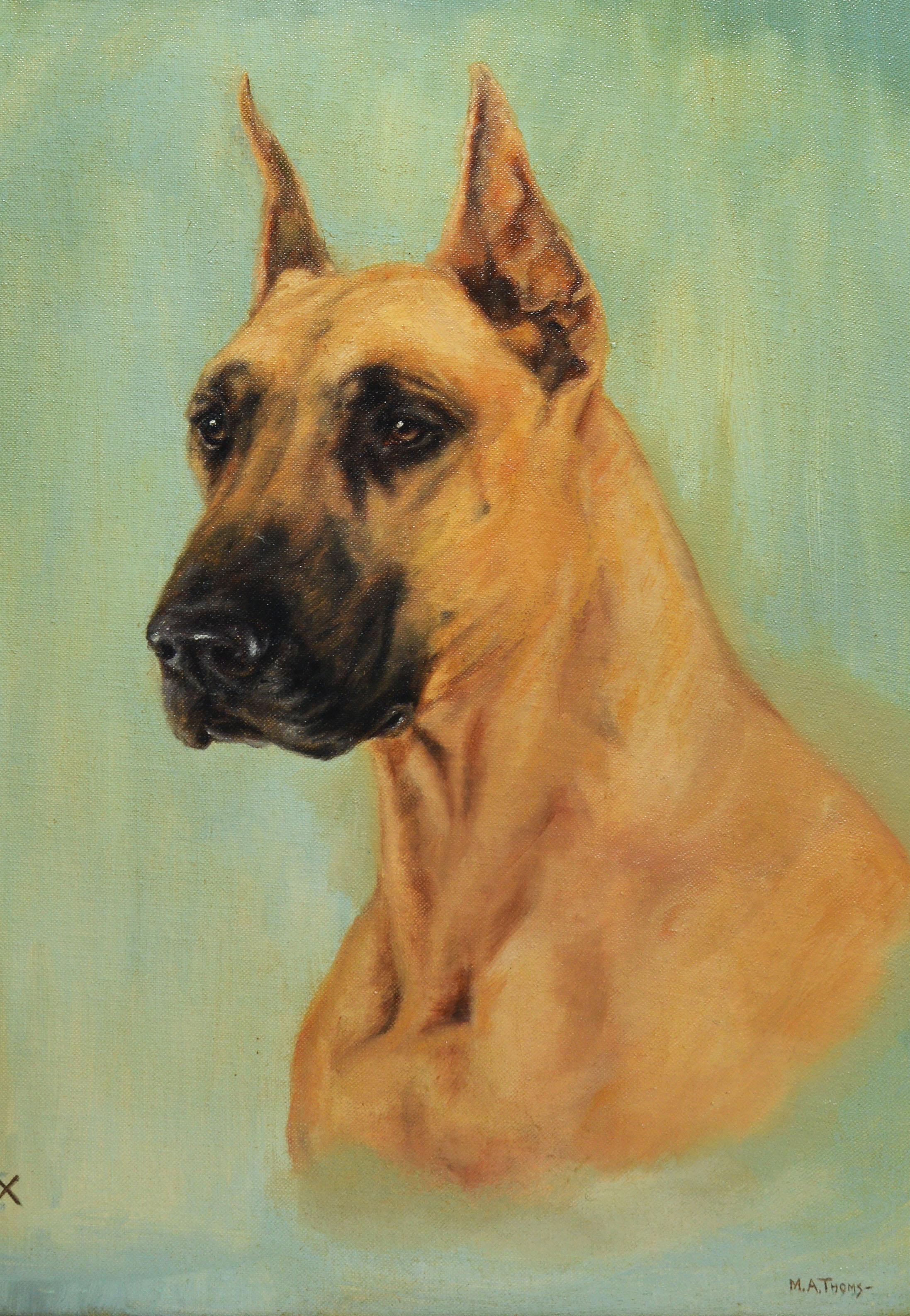 boxer dog portraits